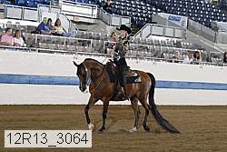 12r13_3064 proof