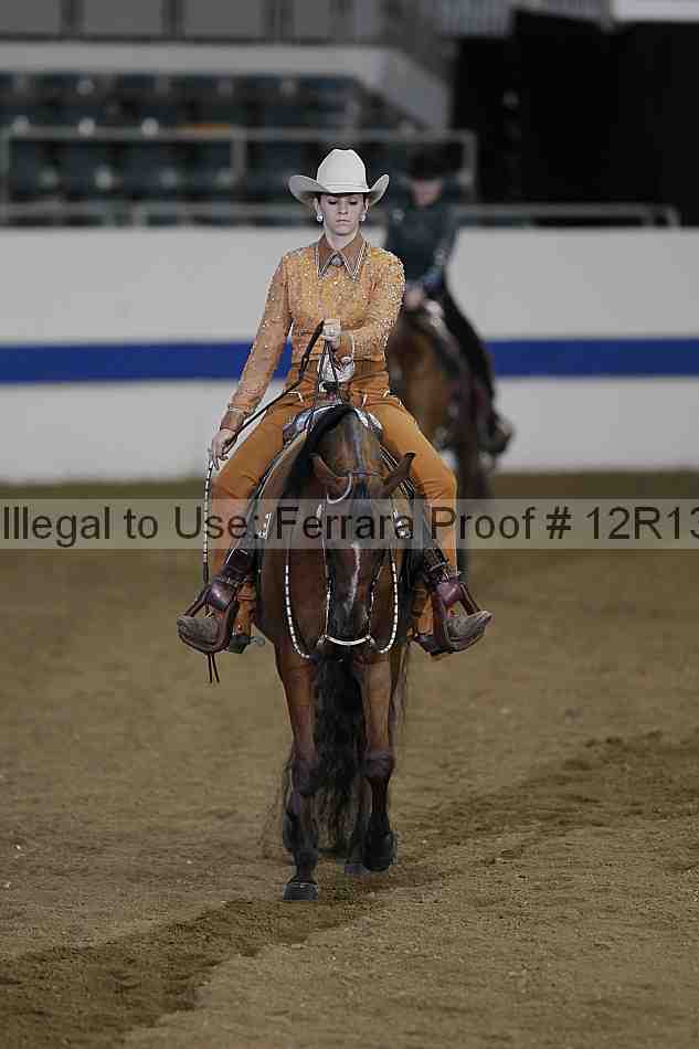 Proof 12r13_3071