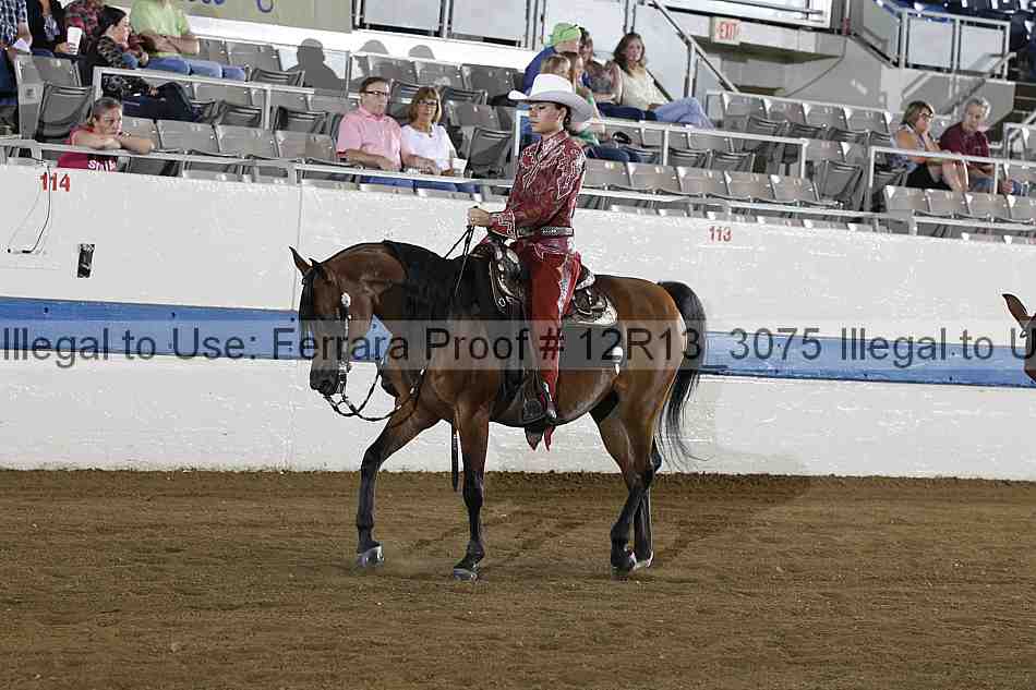 Proof 12r13_3075