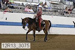 12r13_3075 proof