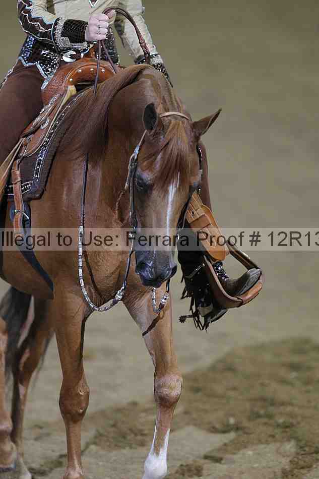 Proof 12r13_3084