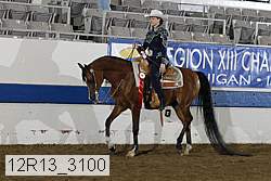 12r13_3100 proof
