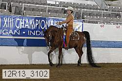 12r13_3102 proof