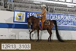 12r13_3103 proof