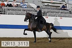 12r13_3113 proof