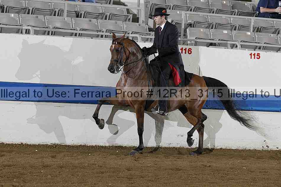 Proof 12r13_3115