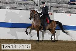 12r13_3115 proof