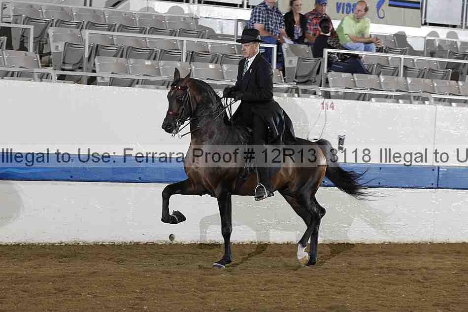 Proof 12r13_3118