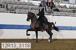 12r13_3118 proof