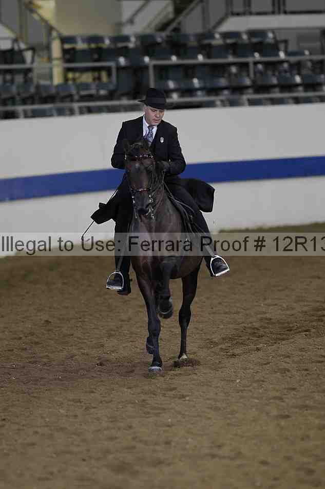 Proof 12r13_3119