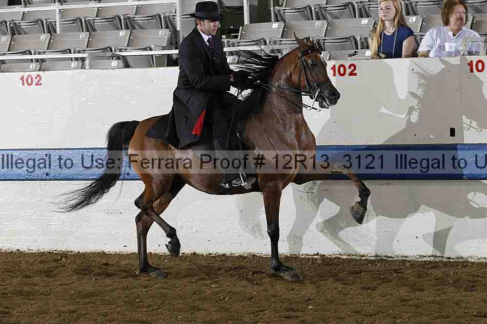 Proof 12r13_3121