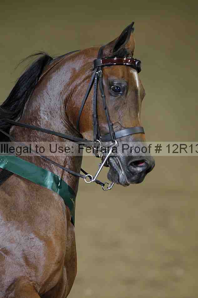 Proof 12r13_3129