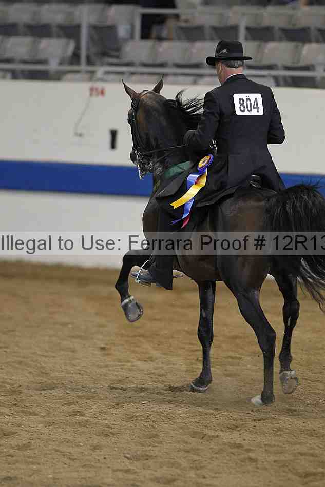 Proof 12r13_3133