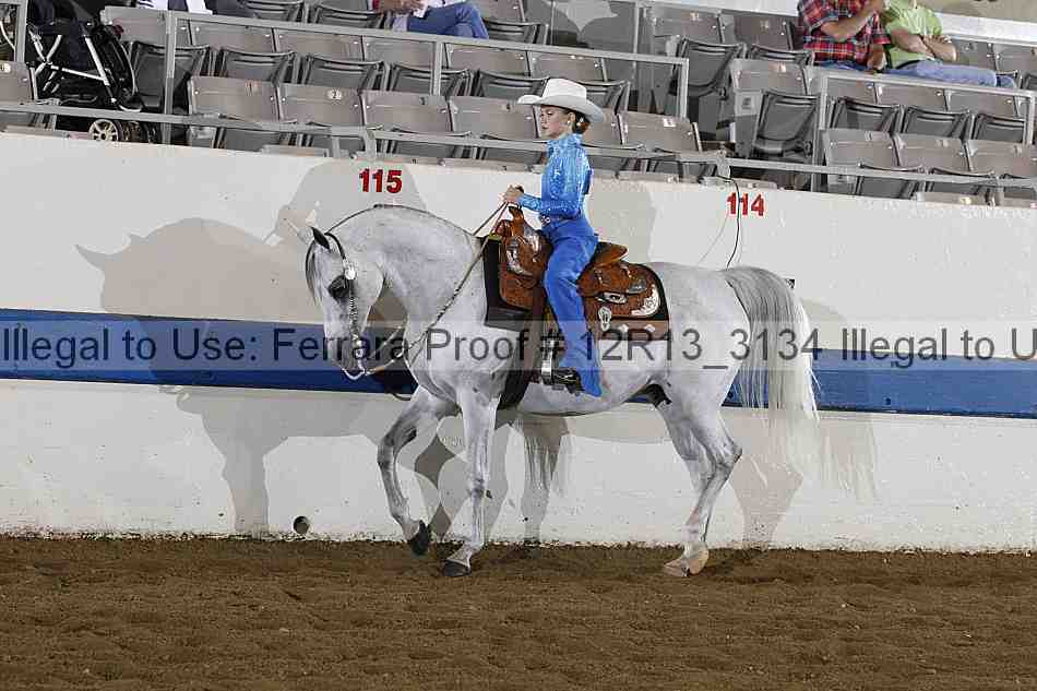 Proof 12r13_3134