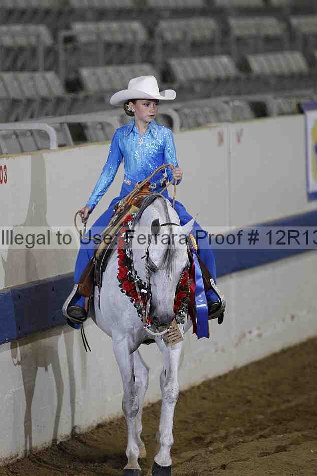 Proof 12r13_3138