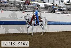12r13_3142 proof
