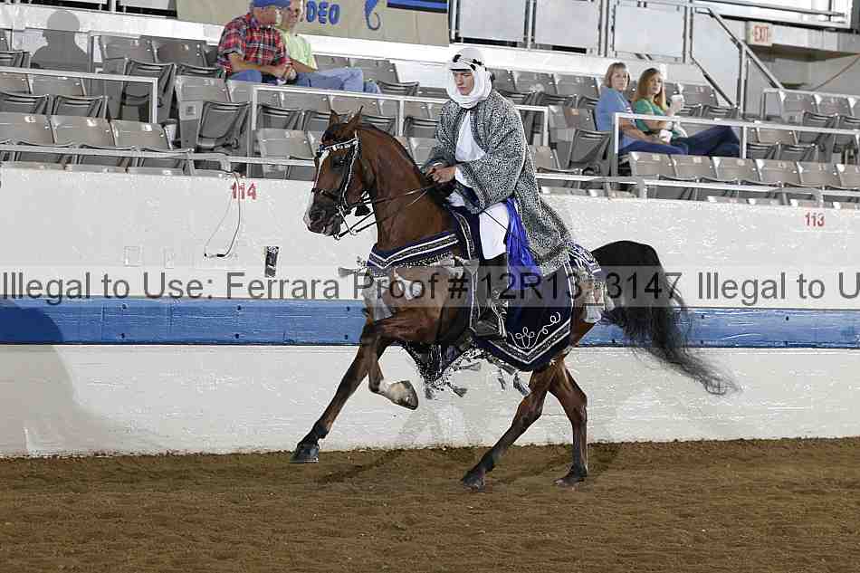 Proof 12r13_3147