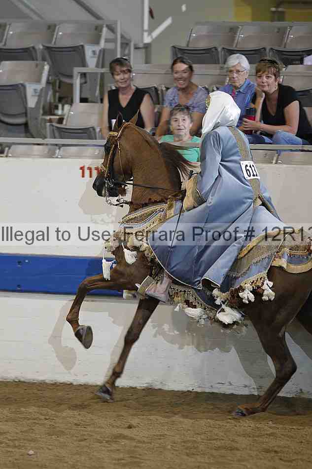 Proof 12r13_3153