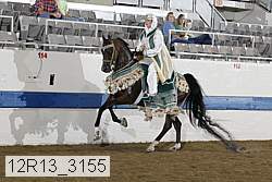 12r13_3155 proof