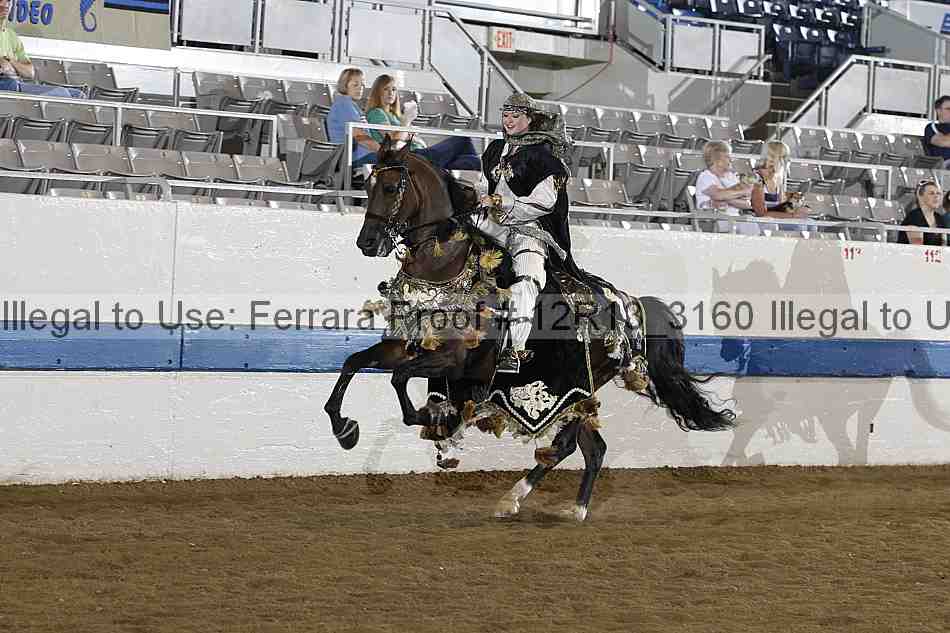 Proof 12r13_3160