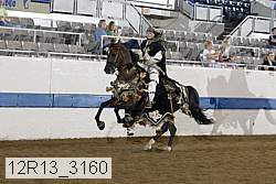 12r13_3160 proof