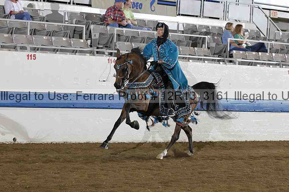 Proof 12r13_3161