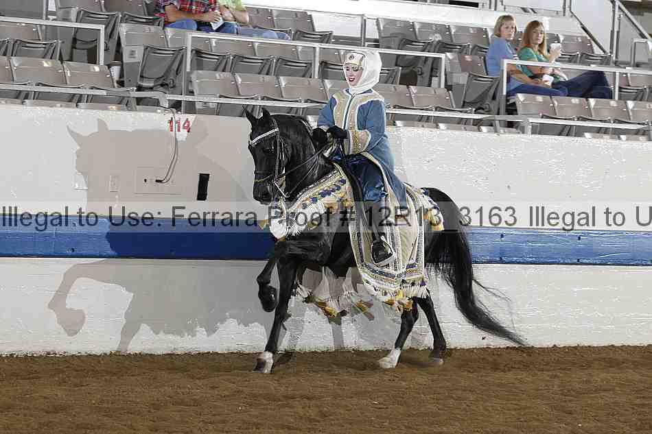 Proof 12r13_3163
