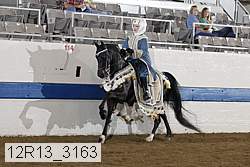 12r13_3163 proof