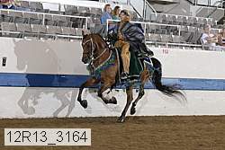 12r13_3164 proof