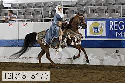 12r13_3175 proof