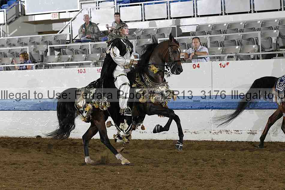 Proof 12r13_3176