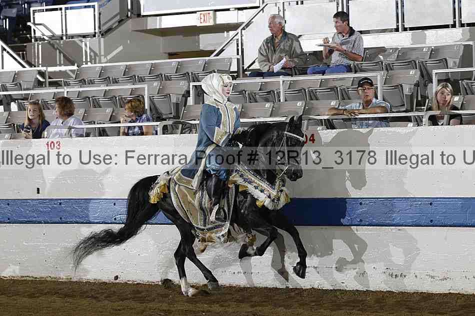 Proof 12r13_3178