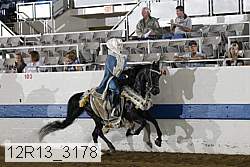 12r13_3178 proof