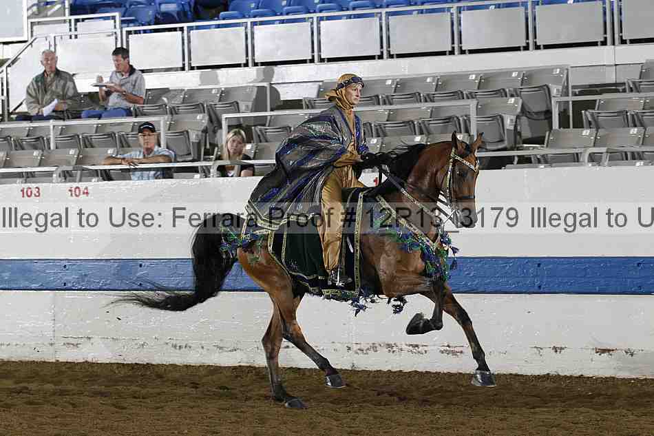 Proof 12r13_3179