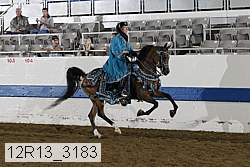 12r13_3183 proof