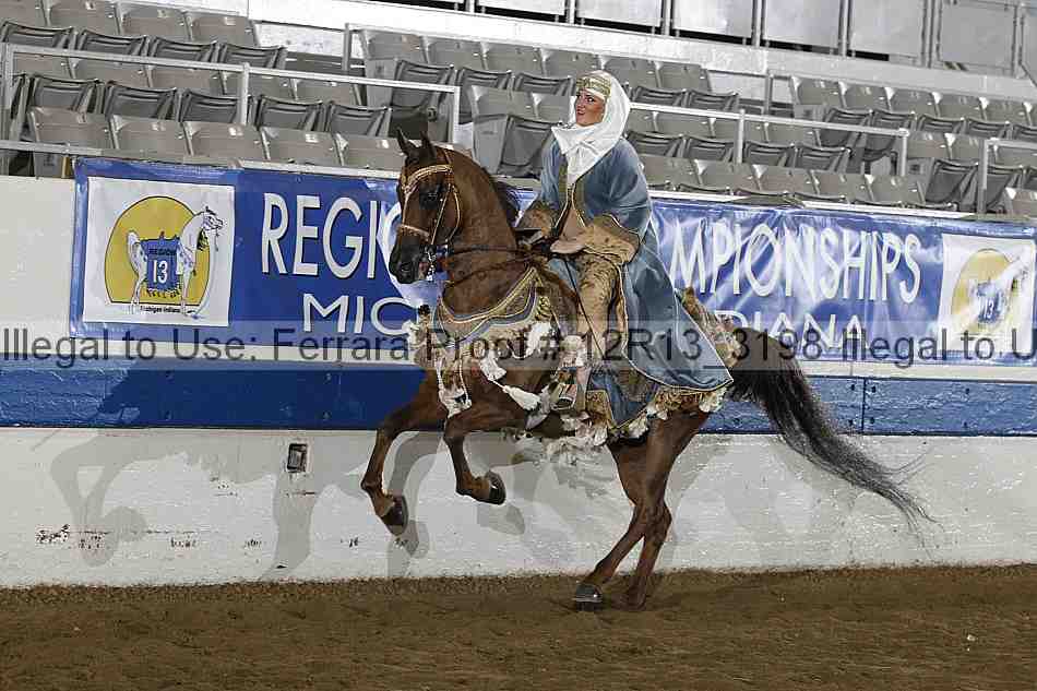 Proof 12r13_3198