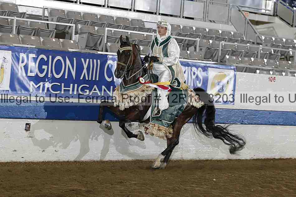 Proof 12r13_3203