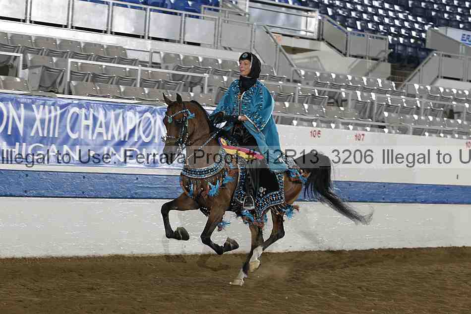 Proof 12r13_3206