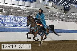 12r13_3206 proof