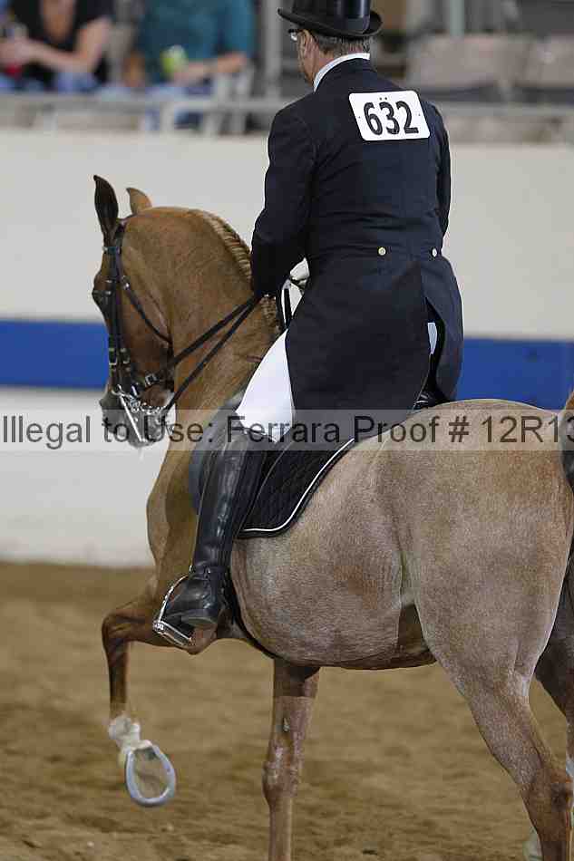 Proof 12r13_3219