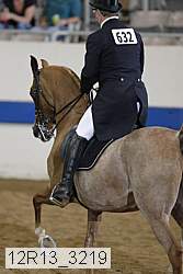 12r13_3219 proof