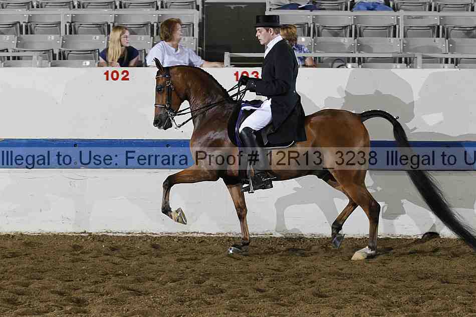 Proof 12r13_3238