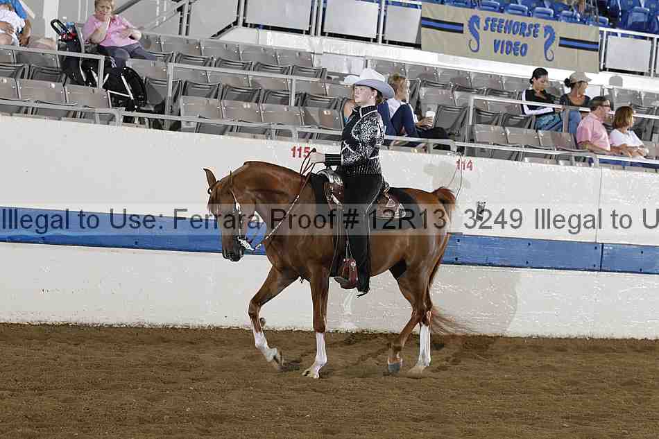 Proof 12r13_3249