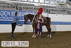 12r13_3256 proof