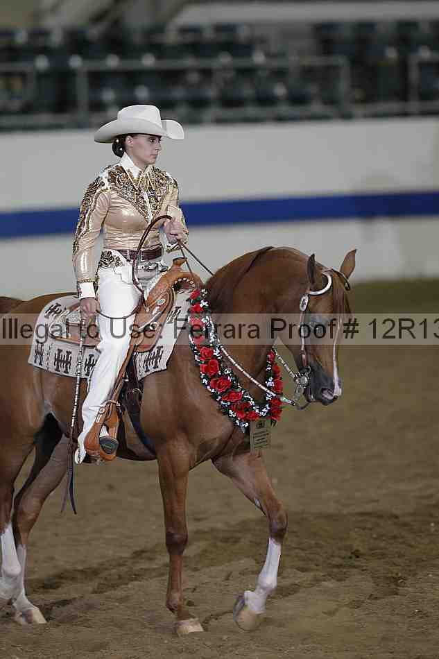 Proof 12r13_3263