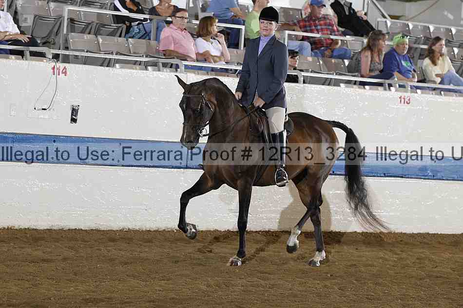 Proof 12r13_3284