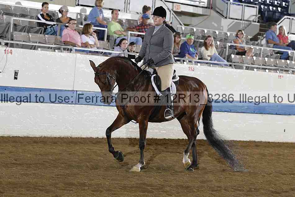Proof 12r13_3286