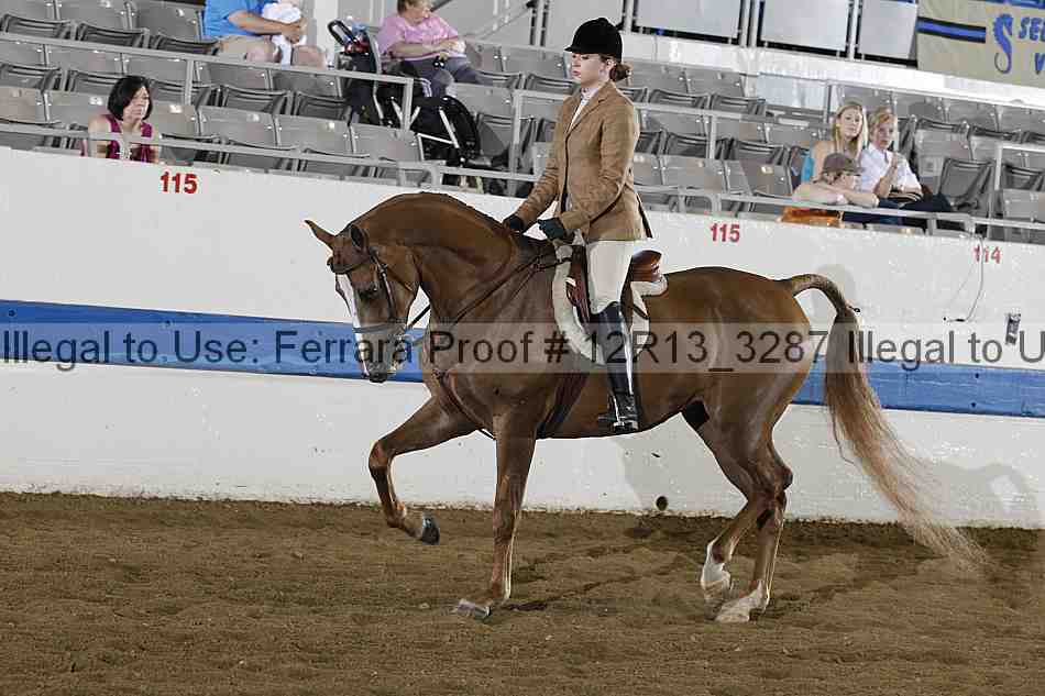 Proof 12r13_3287