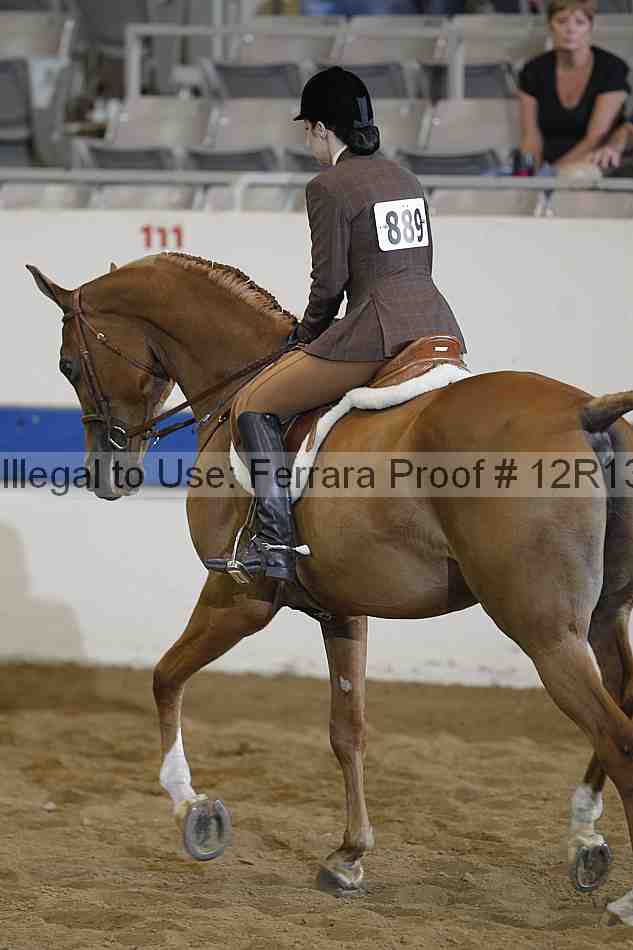 Proof 12r13_3288
