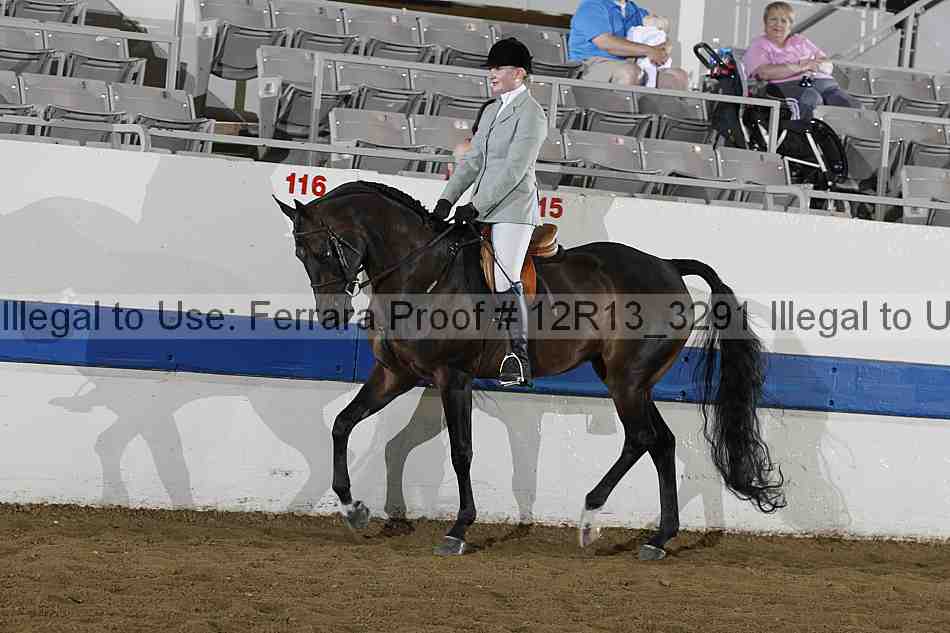 Proof 12r13_3291